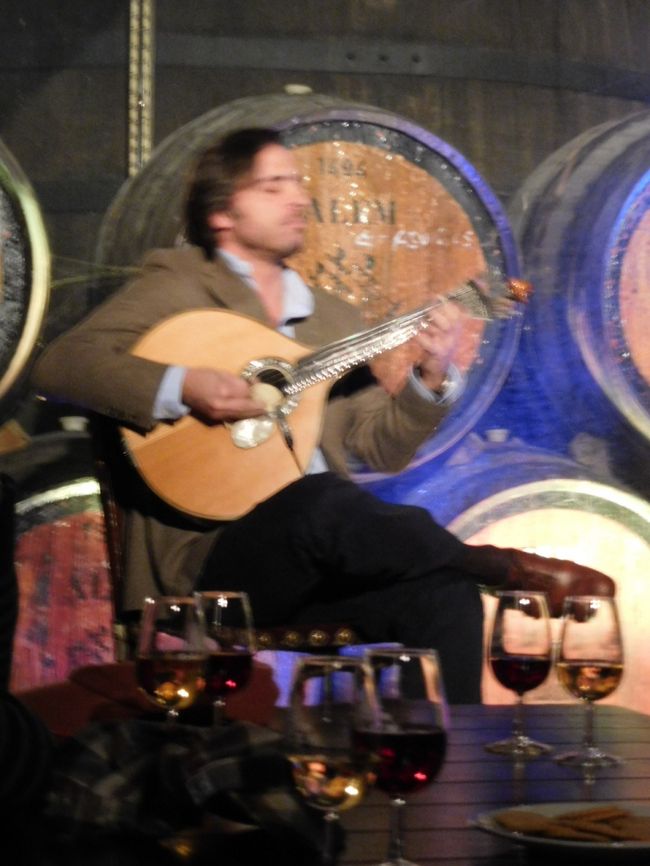 ギターラ（ポルトガルギター）の奏者