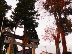 信楽駅前の道をひたすらまっすぐ進むと、この新宮神社にぶつかります。　