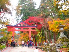 ケーブル坂本駅から約5分ほどで、日吉大社に到着。　ホームページで見た、日吉大社の立派な紅葉を実際に見てみたかったんですよね!