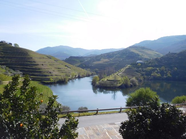 食事のあとしばらく走って、ワイナリーへと向かいました。<br /><br />この写真はワイナリーからの眺めですが、非常に美しかったです。