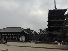 興福寺にも行きました。奈良時代からあるみたい。
