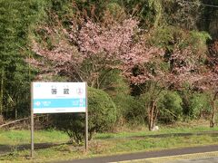 箸蔵駅です。

河津桜でしょうか？
きれいなピンク色の花を咲かせています。