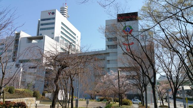 会場は東海TVのテレピアにある、桃花林です。<br />風が強い日ですが、桜がちらほら咲き始めて気持ちのいい通りです。<br />