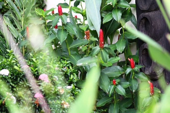 目立ってました