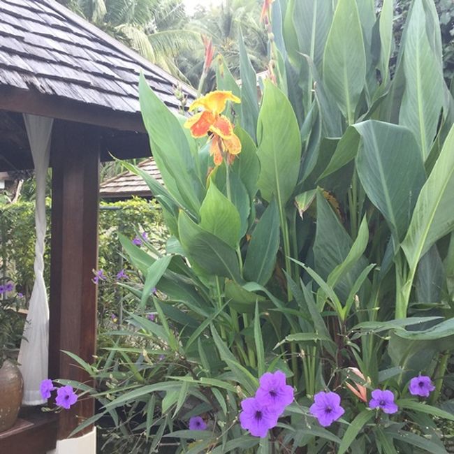 日差しは強いよぉ〜