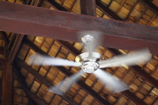 そろそろモーニングTime