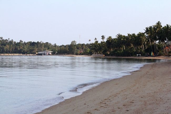 とりあえずウォーキング