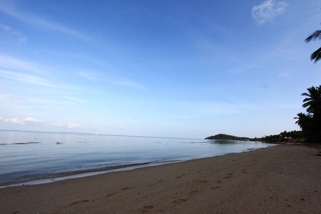 見よ<br />腫れ男アマサン(笑)