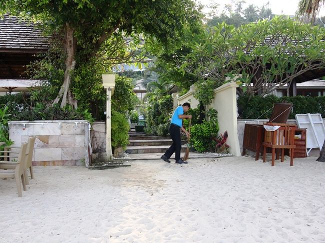 こちらでも<br />自然とコラボさせてるから大変だぁ〜<br />選定苅込もしっかりやられてました<br /><br />魅力の一つですね<br />