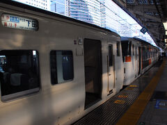 今回は、東京駅を９時ちょうどに出る特急『踊り子１０５号』で出発。
目指す修善寺までは二時間余りだ。
列車は、伊豆急下田行きと修善寺行きが仲良く手をつなぎ、１５両編成と言う最近では珍しい大所帯。
しかも、車内は満員だった。