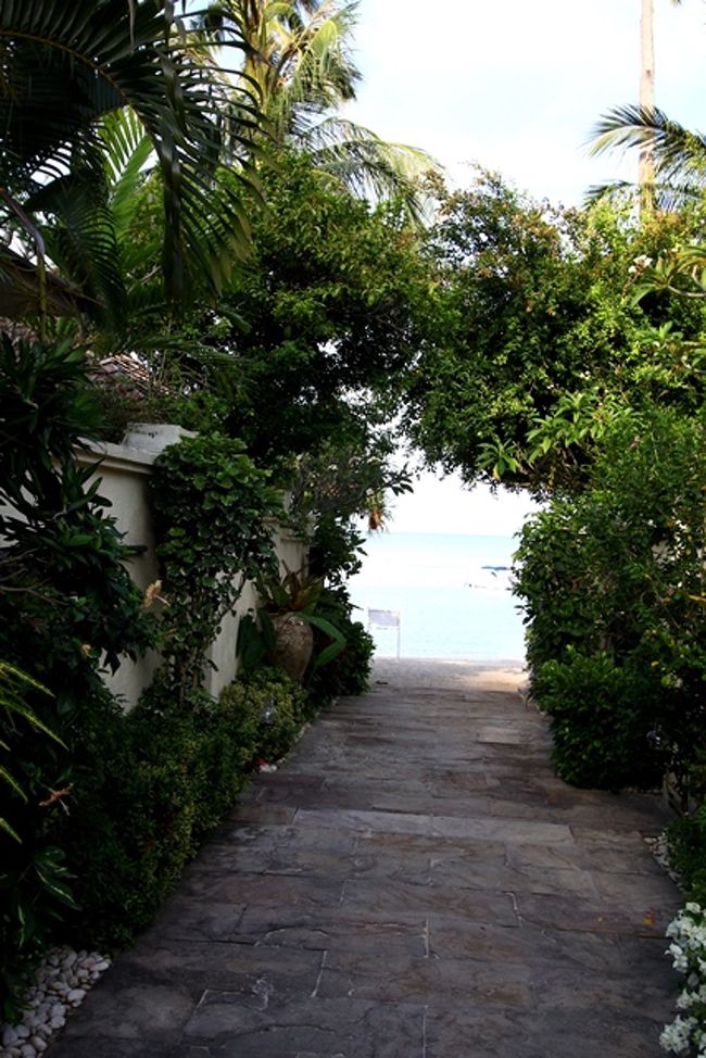 だんだん日差しが強くなる<br /><br />そろそろ甲羅干しTimeやな