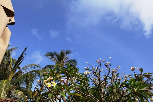 見よこの青空<br /><br />アマサンを雨男というのは誰じゃ<br />サムイでは普通じゃな(笑)<br />