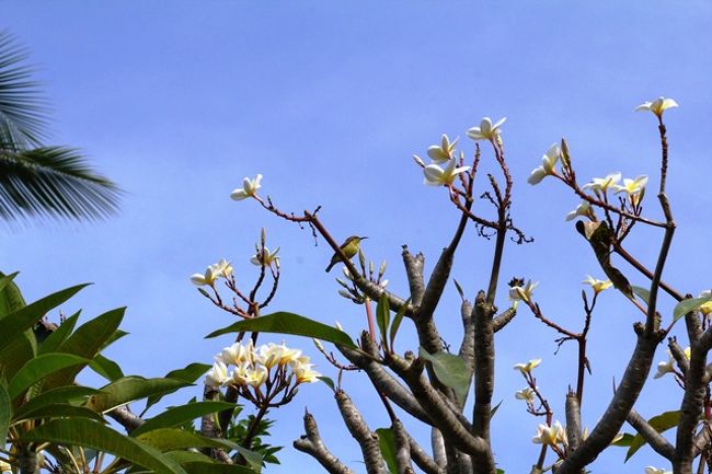 60枚を超えたので二日目を前・後編に分けます。<br />後編もお楽しみに。<br />覗きにきてね(^_-)-☆