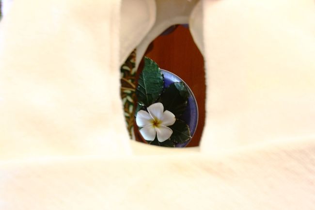 これは寝台のフェイス・スポット<br /><br />御花が迎えてくれます<br />粋でんなぁ〜