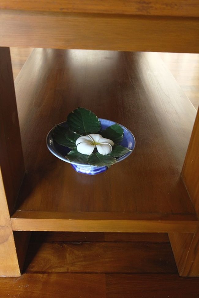 横から見るとこんな感じ