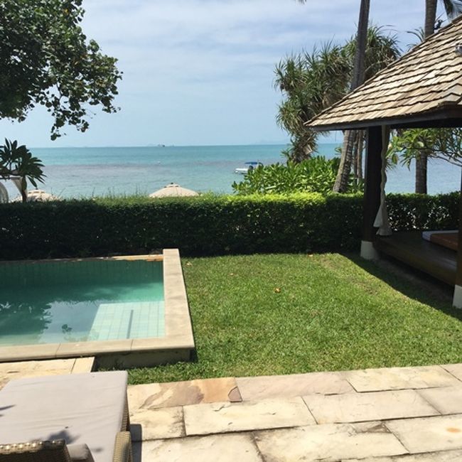 日差しは刺さる状態<br />甲羅干し続行