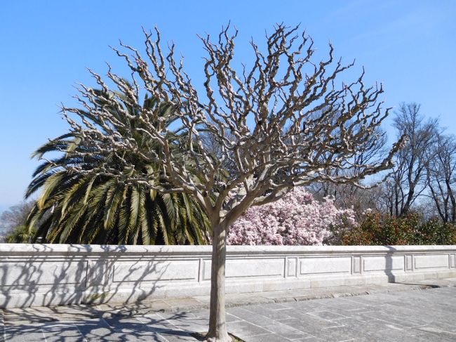 ノッサ・セニョーラ・ドス・レメディオス教会の前辺り<br /><br /><br /><br />