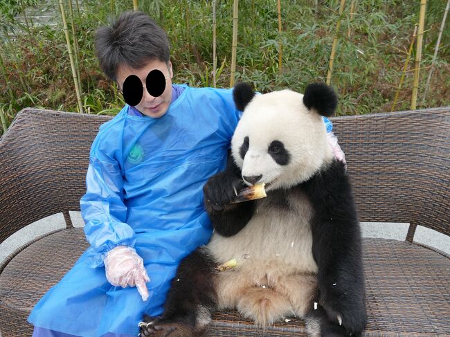 ついにパンダ捕獲 念願のパンダ抱っこ 中国保護大熊猫研究中心 都江堰基地 熊猫楽園 パンダ基地 四川省 中国 の旅行記 ブログ By スイカさん フォートラベル