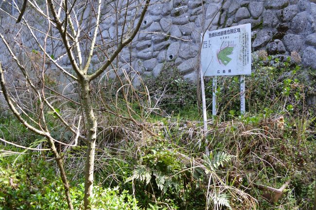 御手洗・・・遊女たちの墓を求めて』大崎下島・豊島・下蒲刈島