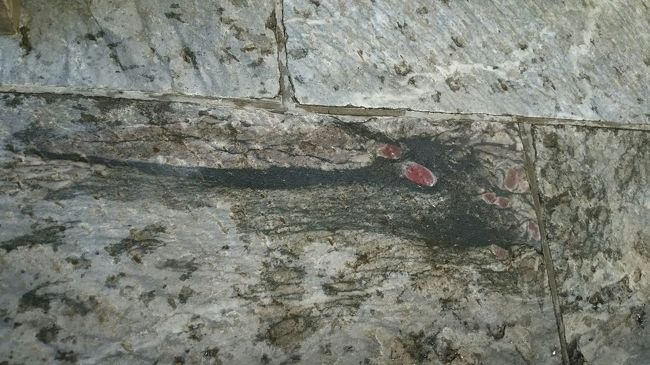 辰年に突如現れた噂の龍