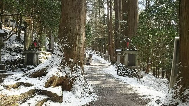 帰り道  思いがけぬおいぬさま