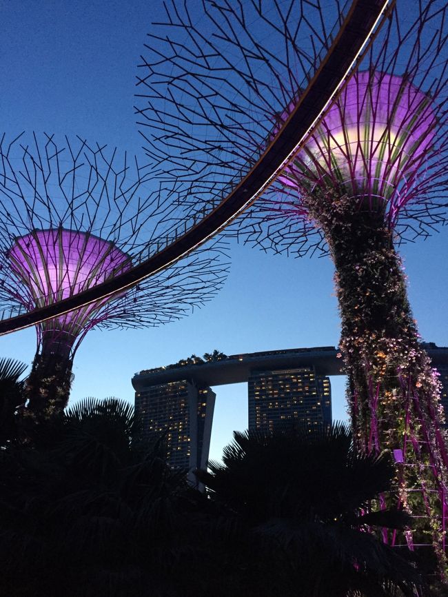 あそこに早く、あがりたいよ〜暗くなって来た〜。