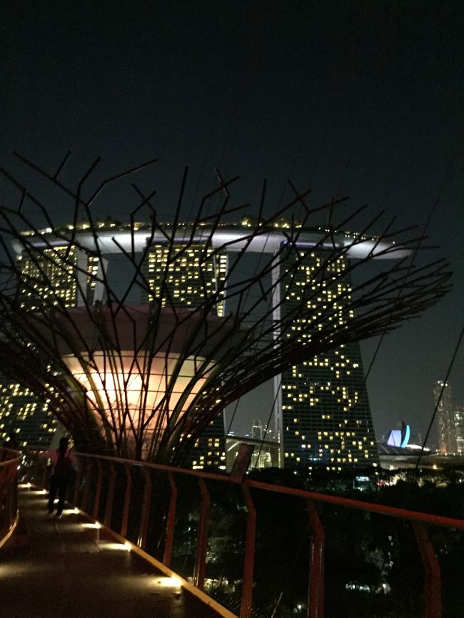 で、ようやく真っ暗になってから上にエレベータで上がり、通路を歩く。風が吹いてちょっとこわい。でもきれいだわ。