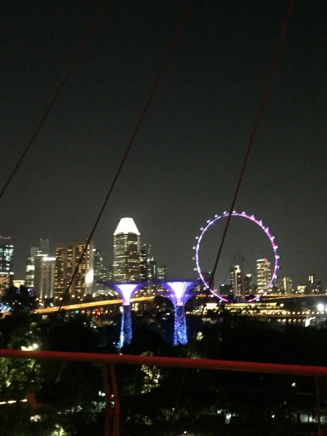 シンガポールフライヤーも見える。