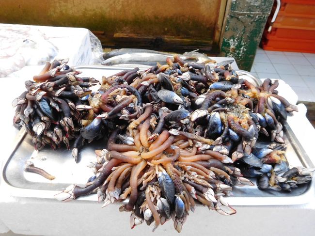 ボリャオン市場で、初めて亀の手を見ました。<br />見た目は、かなりグロテスクな感じがします。