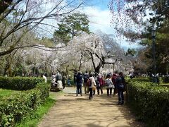 まずは京都御苑の近衛邸跡地へ。外国人観光客も多く、みなさん熱心に写真を撮っていました。
