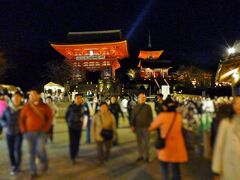 清水寺にやっと着きました。この日から夜間特別拝観が始まったらしく、大勢の人で賑わっていました。