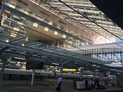 当初、伊丹空港から奈良駅直行のバスに乗るつもりだったが、
タイミング合わず。
一旦JR大阪駅に出て、みやこ路快速で奈良へ向かいます。
（写真は大阪駅）

宿泊はJR奈良駅直結のホテル日航奈良。
宿泊者専用の大浴場があります。
今回のようなよく歩くことが予想される旅行では
最近は大浴場付きのホテルを選ぶことが増えました。
部屋のユニットバスでは
どうも足腰の疲れが取れないもんで f^_^;)

当初は奈良ホテルに泊まることも考えました。
でも日の長い初夏のこと、ホテルで過ごす時間は短そうだし、
１人旅にはシティホテルの方が機能的で何かと便利かも。
今回は諦めることにしました。
