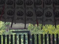 それでも吹く風には初夏の爽やかさも感じられました。