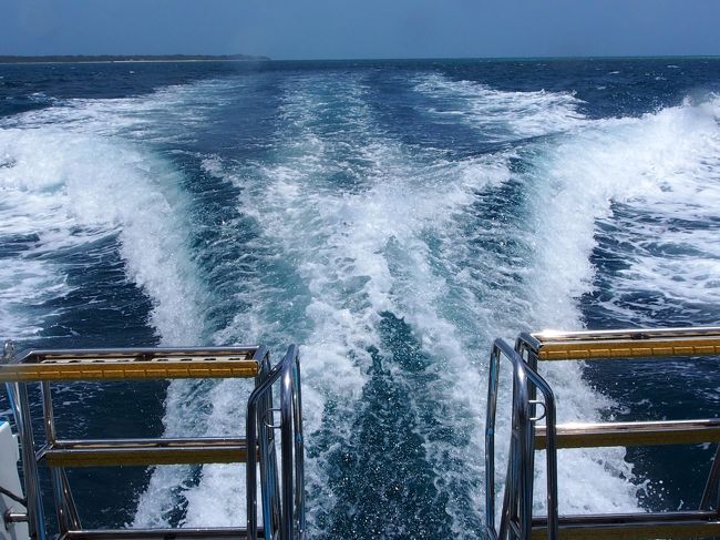 天気は最高！<br />うねりはまだ残っている