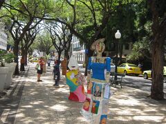 ［アリアガ通り］

マデイラ島の南東に位置するフンシャルのメインストリート。
アート作品を展示中。