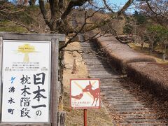 霧島アートの森にありました。