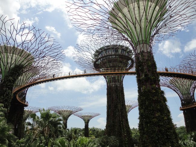 さていきなりですが、ガーデンズバイザベイです。