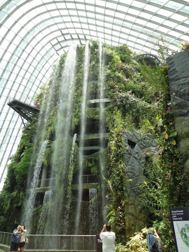 滝ですね。<br /><br />クラウドフォレストは以前のJGC修行で訪れておりますので、そちらをご覧ください。<br />http://4travel.jp/travelogue/11078296<br /><br />クラウドフォレストはざっくりにさせていただきます。<br />