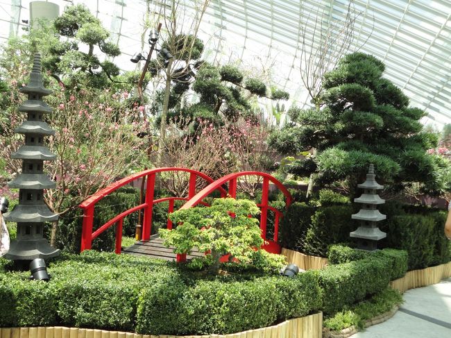 世界の春ということで、日本をモチーフにした植物もありました。