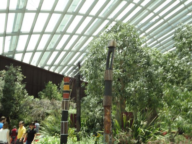 様々な植物があります。