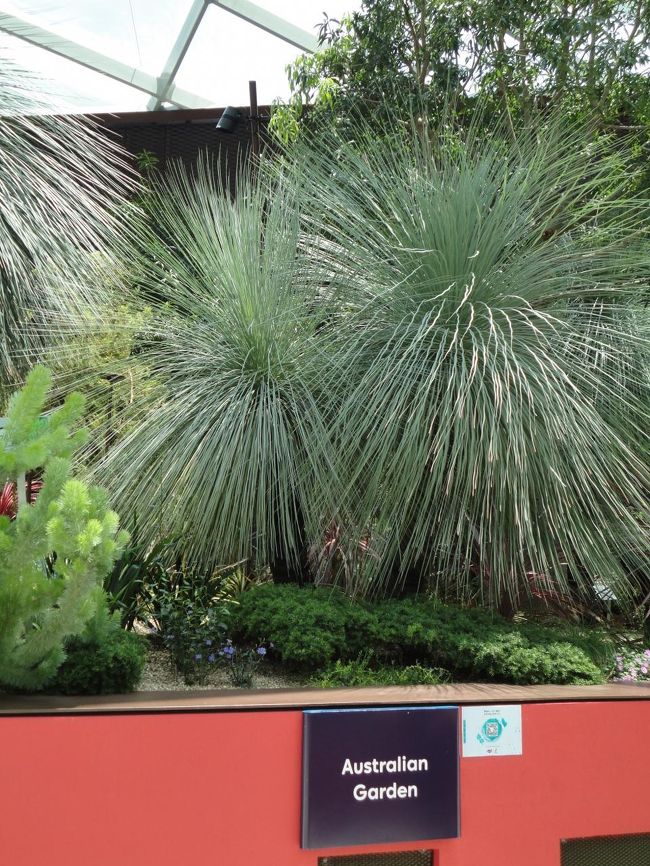 植物の下に国の名前が書かれているので、パッと見てすぐに分かります。