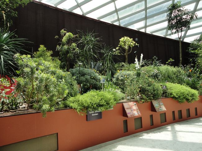 こちらは南アフリカのようです。