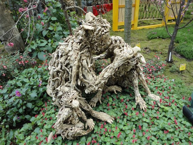 ニホンザル？<br /><br /><br />それだけは海外の方でも知ってるんだ〜<br />