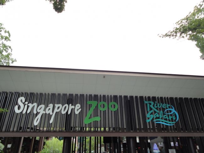 そんな天気もサファリへ着くころにはポツポツ程度におさまっていました。