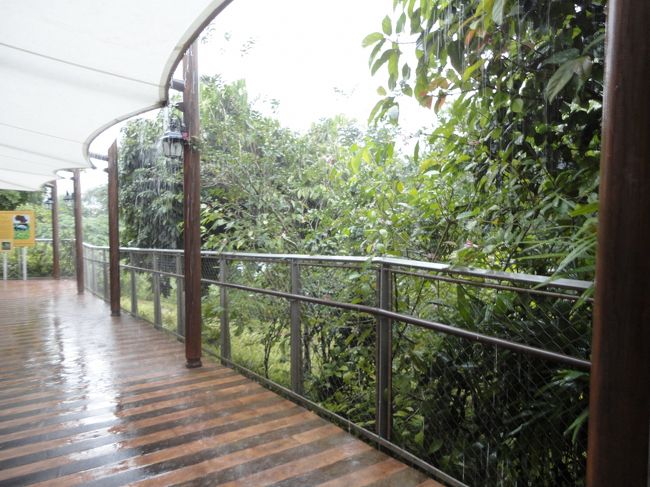 土砂降りになってきました。<br /><br />ただ、屋根があるので私たちは濡れずに動物たちを見ることができました。