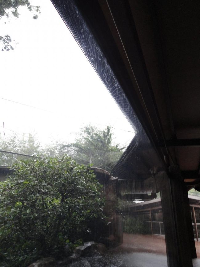 悪化の一途です。。。<br /><br />乗船券の返却について聞いておけばよかったねと友人と話す始末。。。