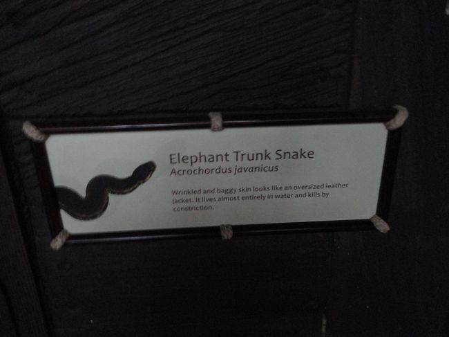 グーグル先生で検索しましたが、日本語訳が出てきませんでした…