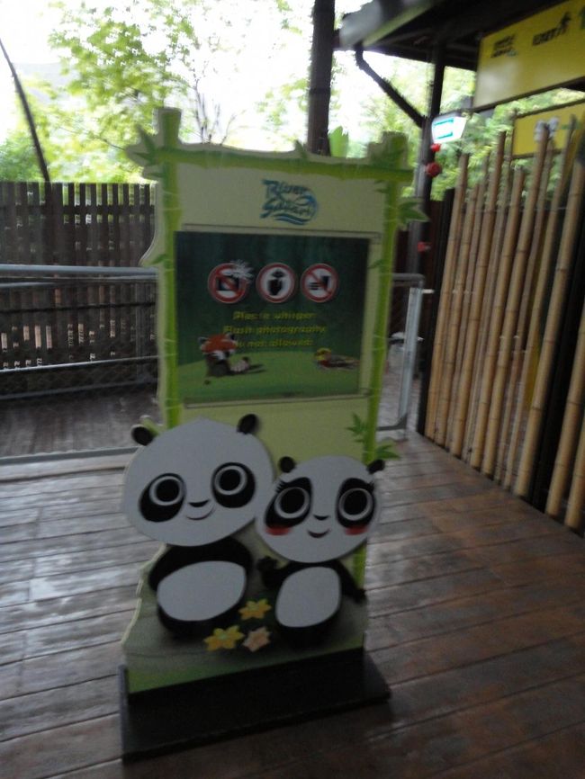 リバーサファリという名ですが、パンダが見れます！