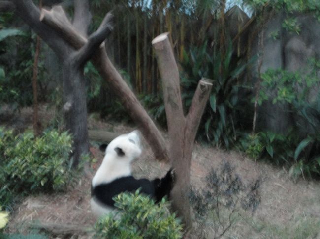 近づいて来たら、周りの方々も写真をパシャパシャと撮り始めました。