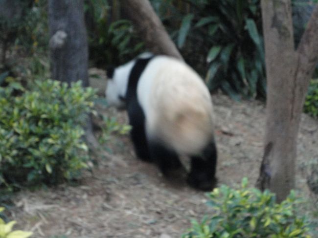 こっちを向かないまま帰ってしましました(´；ω；`)ｳｯ…